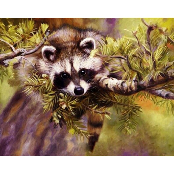 Raccoon Paint by Numbers Kit