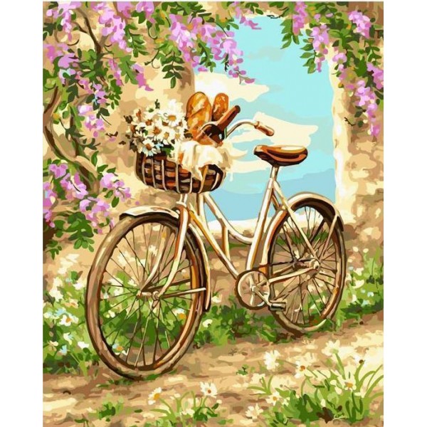 Bicycle and Flowers Paint by Numbers kit for Adults