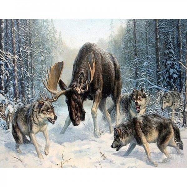 Moose in the Wolves