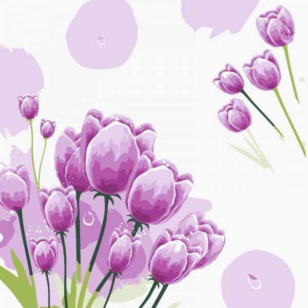 Purple Tulip Flowers