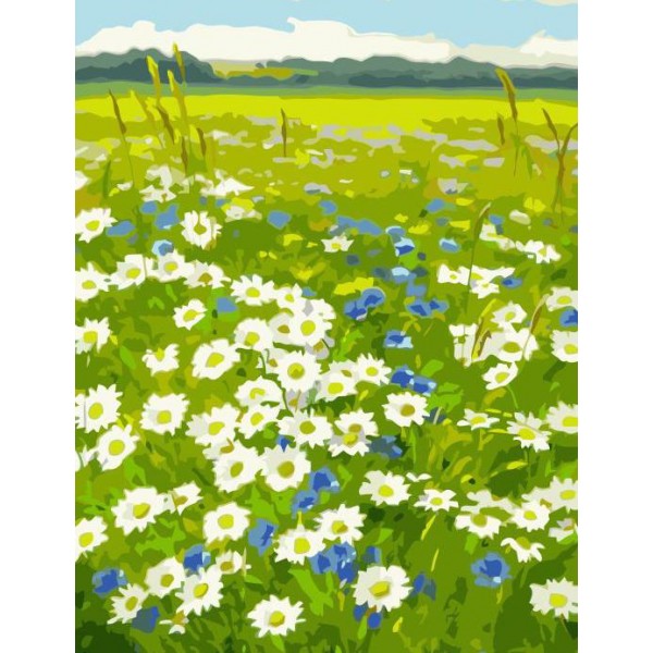 Vintage Farm Daisy Flowers Paint By Numbers