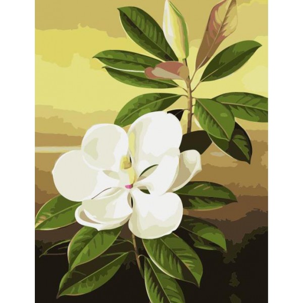 Southern Magnolia Plant