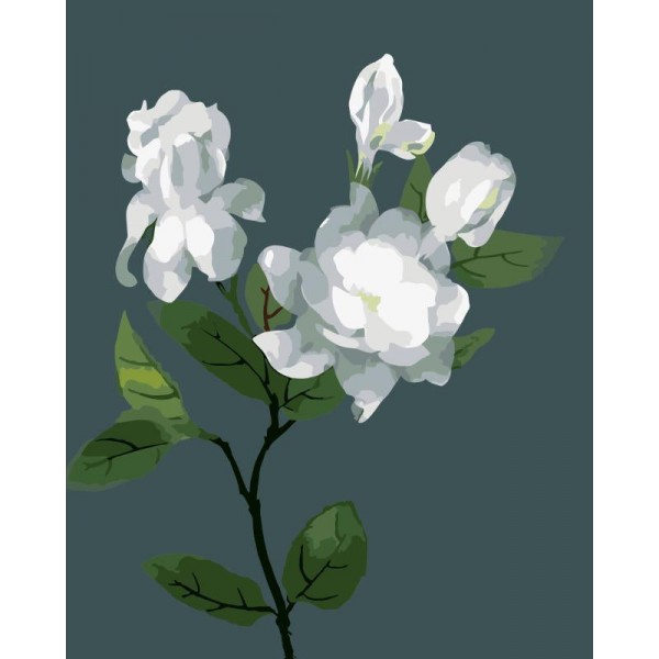 Gardenia Painting By Numbers