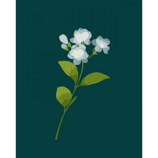 Syringa Flower Paint By Numbers