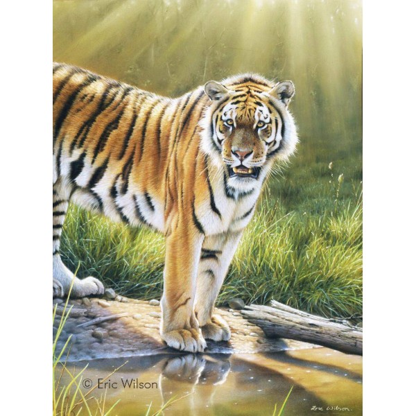 Tiger in Chitwan - Art by Eric Wilson