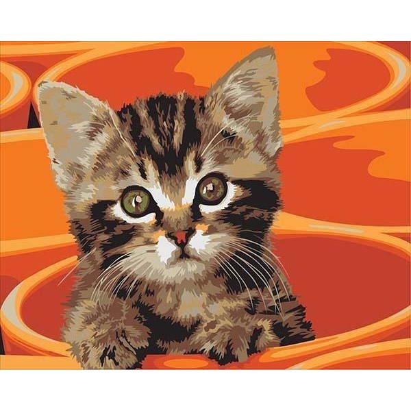 Cute little Cat in the Bucket Painting by Numbers