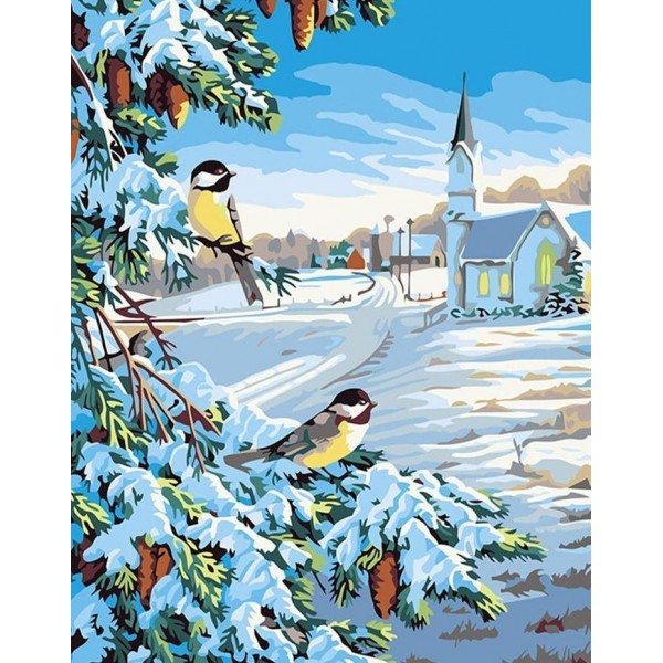 Snow & Birds Paint By Numbers Kit