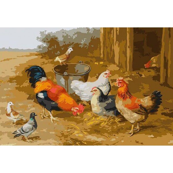 Chickens & Pigeons DIY Painting