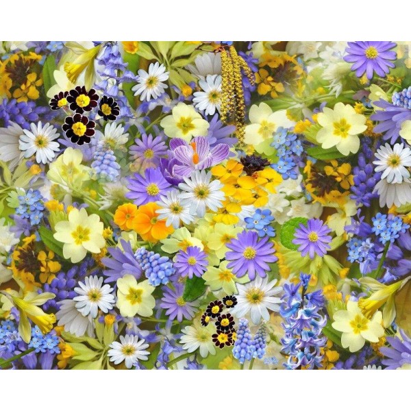 Amazing Colourful Bloom - PBN Kit