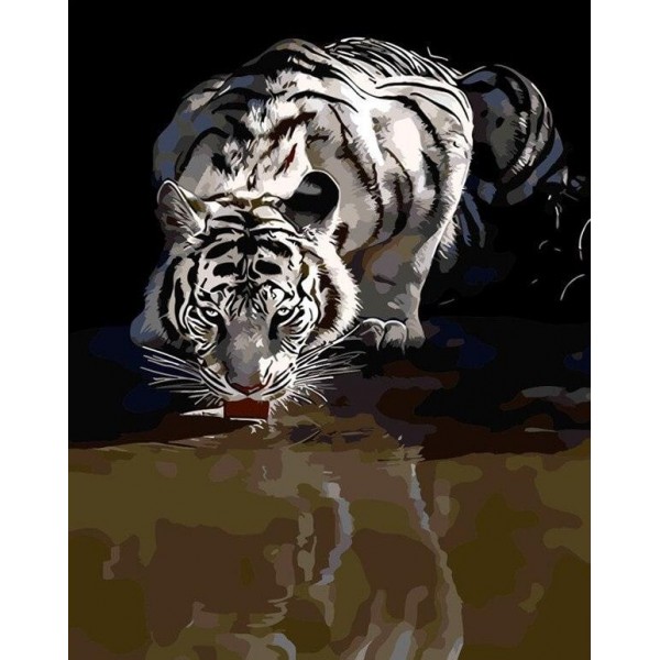 White Tiger Drinking Water