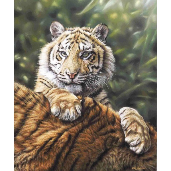 Sumatran Tiger Cub And Mother - Art by Eric Wilson