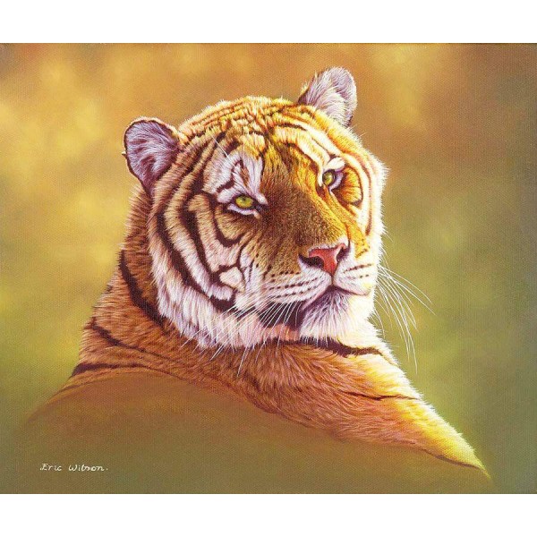 Taiga Tiger Study - Art by Eric Wilson