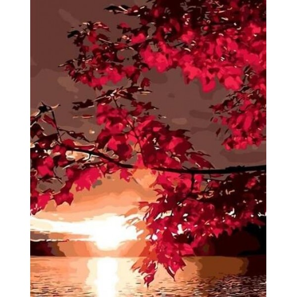 Maple Leaves & Sunset