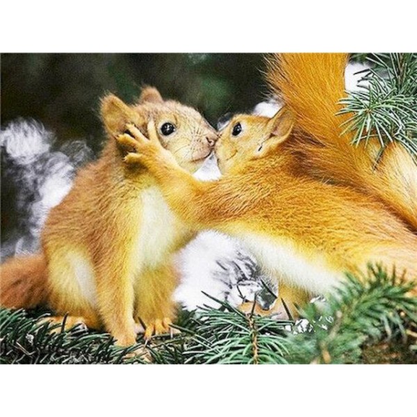 Squirrel Couple- DIY Paint By Number