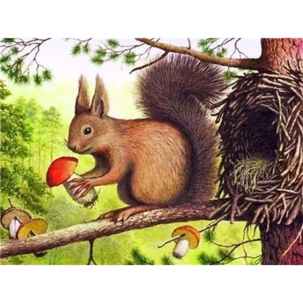 Mushroom Squirrel- DIY Paint By Number