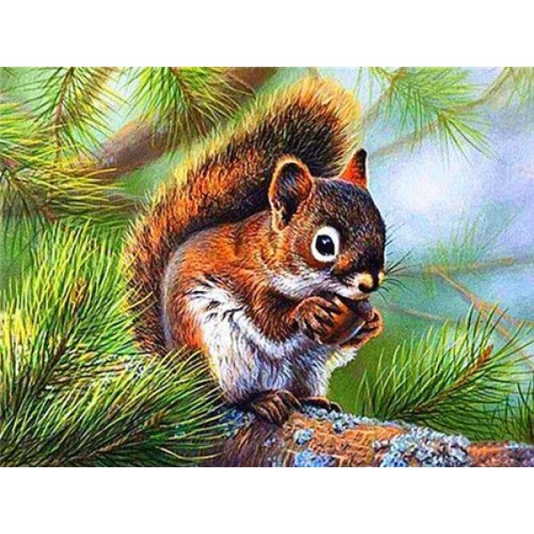 Gorgeous Squirrel - Paint By Numbers
