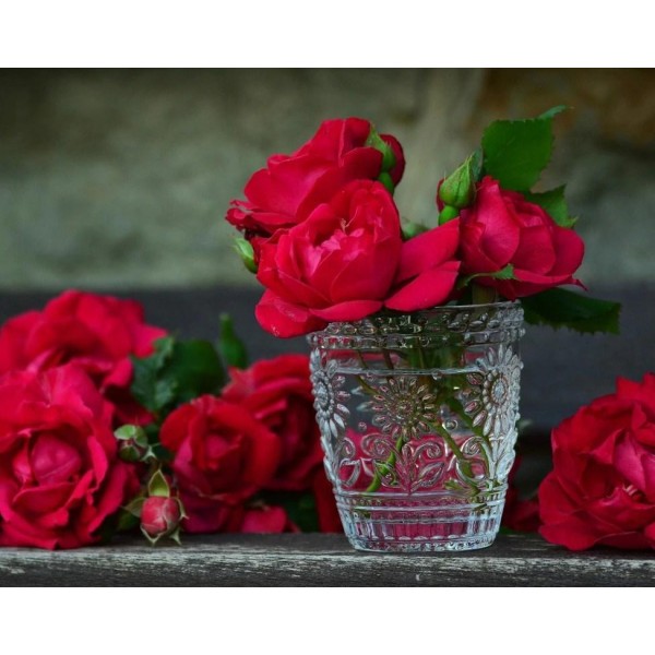 Red Roses in Glass