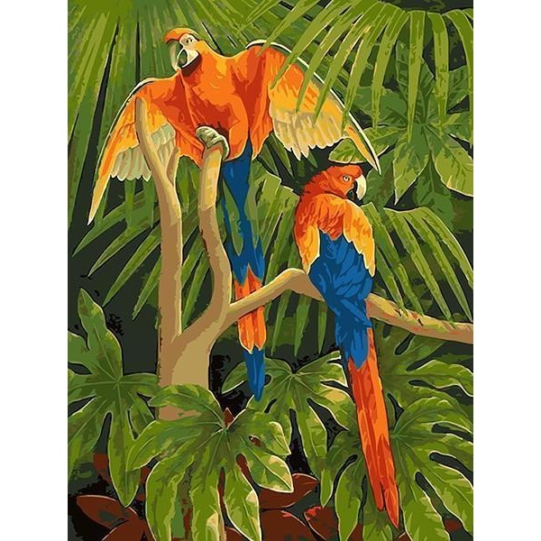 Macaw Parrots in Jungle