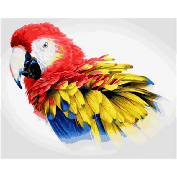 colorful Parrot
