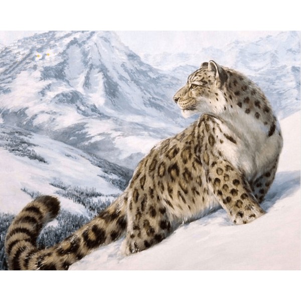 Snow Leopards Painting by Numbers DIY