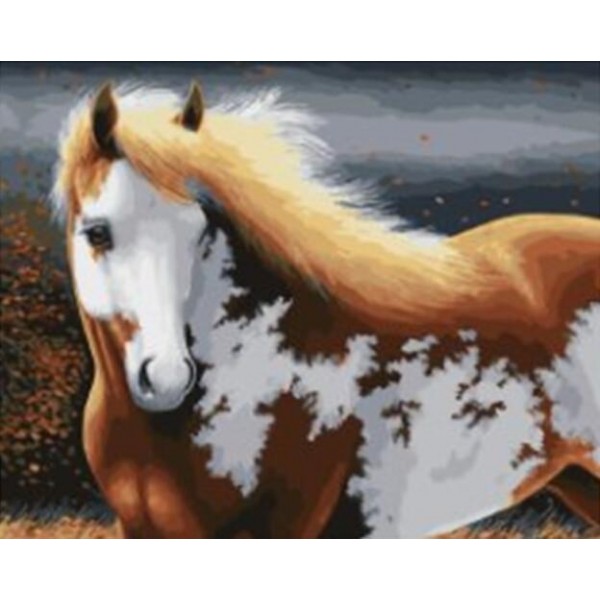 Elegant Horse