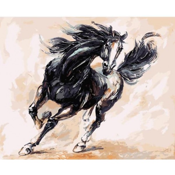 A Black Horse Running Fast