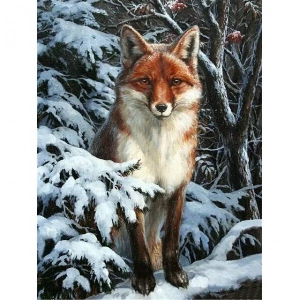 Staring Fox - All Paint By Numbers