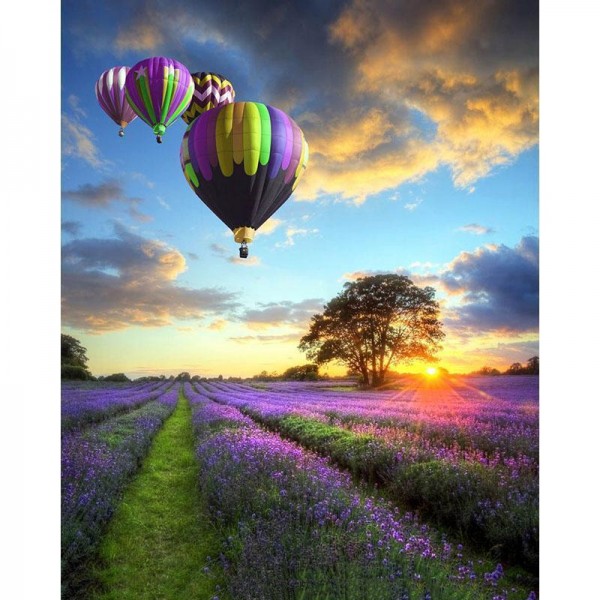 Sunset, Beautiful Balloons over Purple Fields
