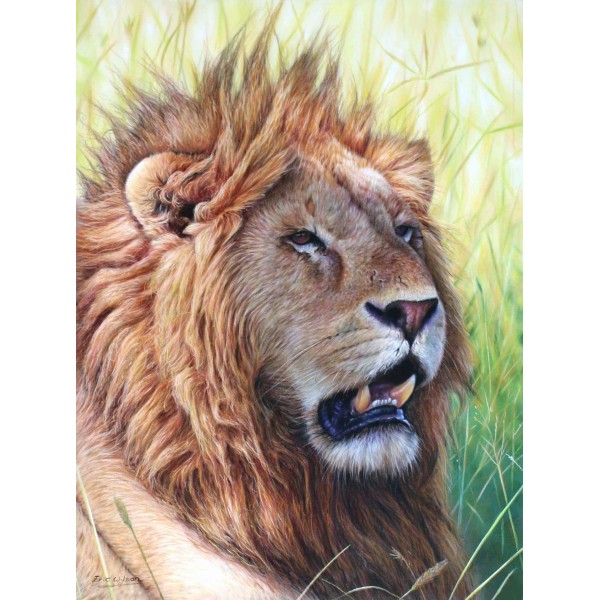 Masai Mara Lion - Art by Eric Wilson