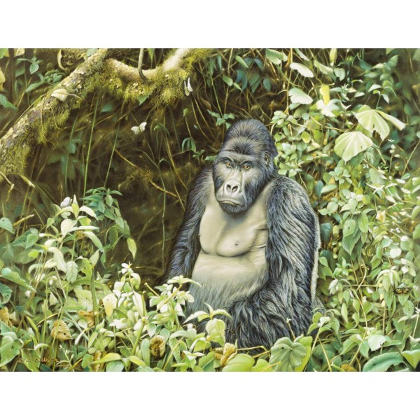 Gorilla Khazui Biega - Art by Eric Wilson