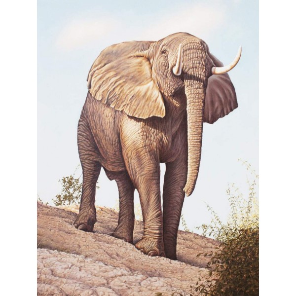 Bull Elephant Zimbabwe - Art by Eric Wilson