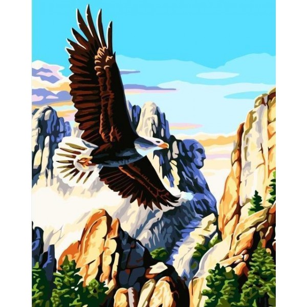 Flying Eagle Paint by Numbers - Eagle in the Rocky Mountains