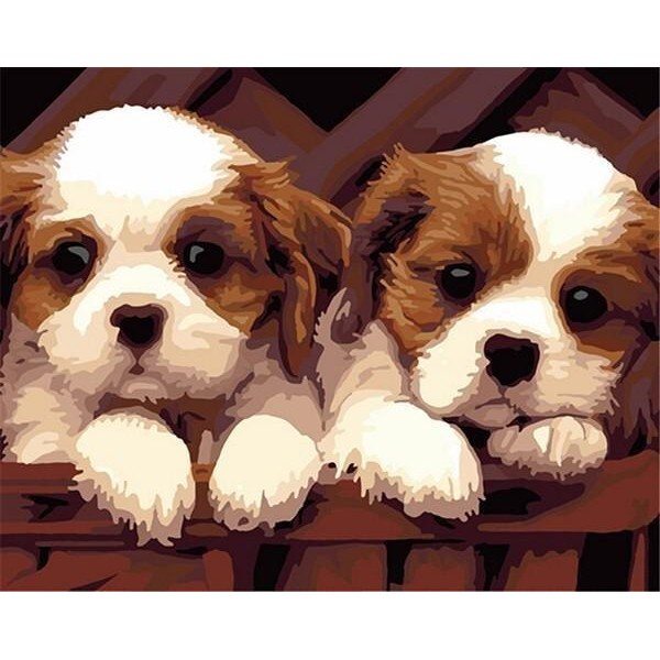 Couple of Cute Puppies