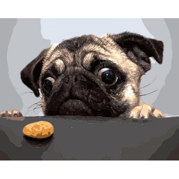 Cute Little Puppy Wants the Cookie - Paint it for Him