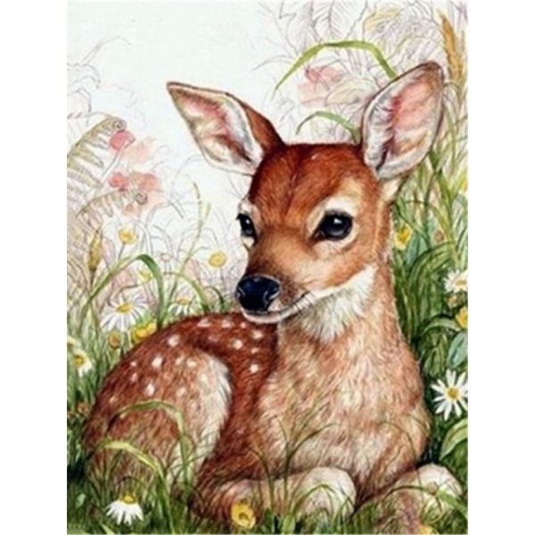 Baby Deer - Paint By Numbers