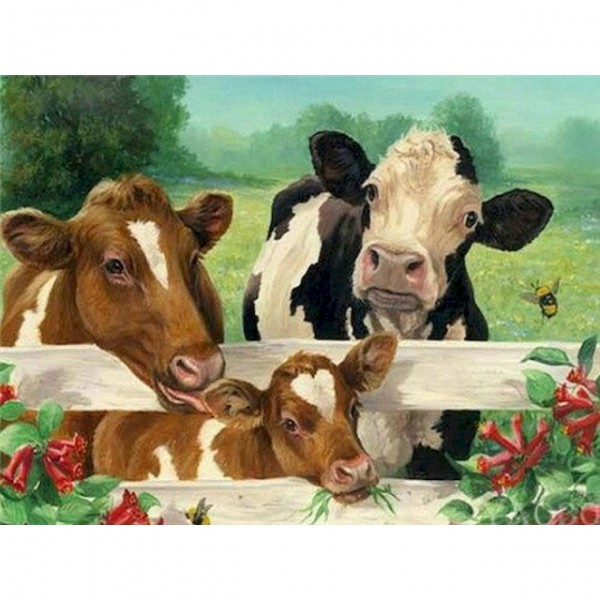 Cow Family - Paint By Numbers