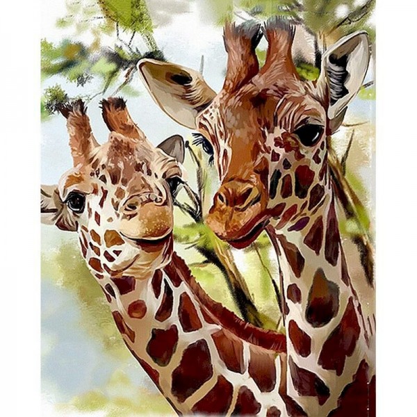 Giraffe Couple - Paint By Numbers