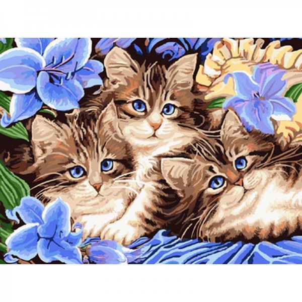 Blue eyes Cats