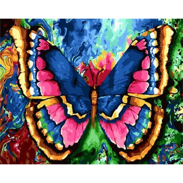 A colorful Butterfly