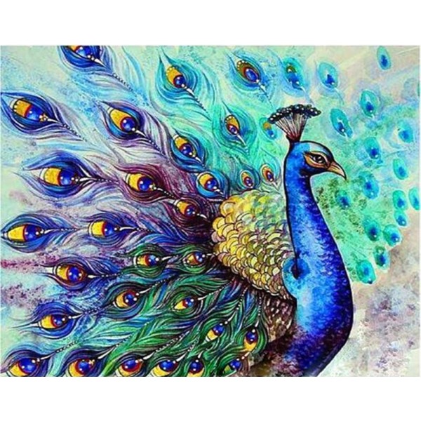 Peacock Drawing Painting