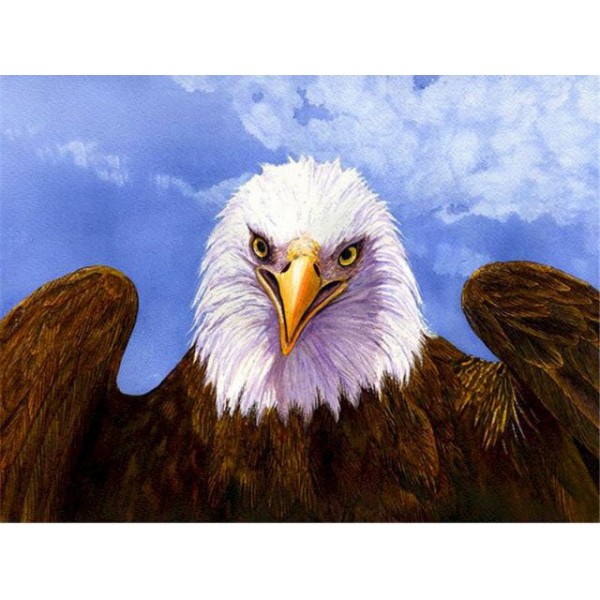 Happy Eagle- Paint By Numebr
