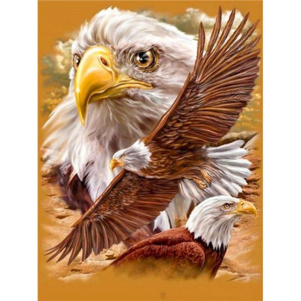 Realistic Eagle- DIY Paint By Number