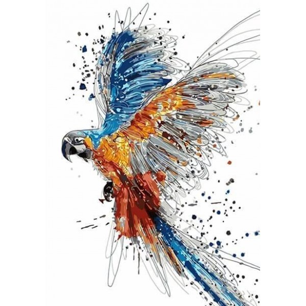 Colors Splashing Parrot