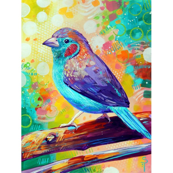 Cordon Bleu Finch - Art by Sandra Trubin