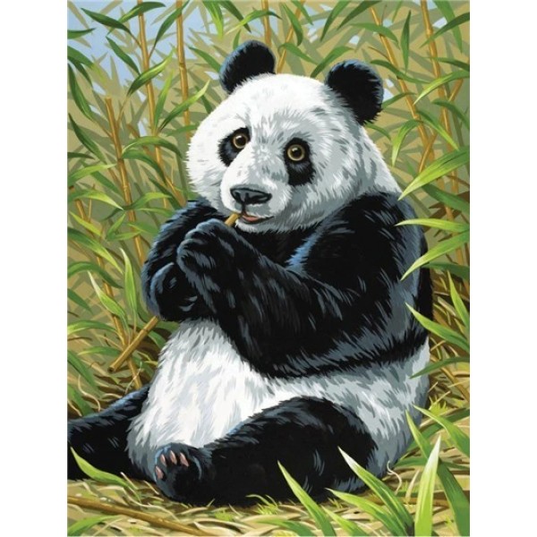 Eating Panda - Paint By Numbers