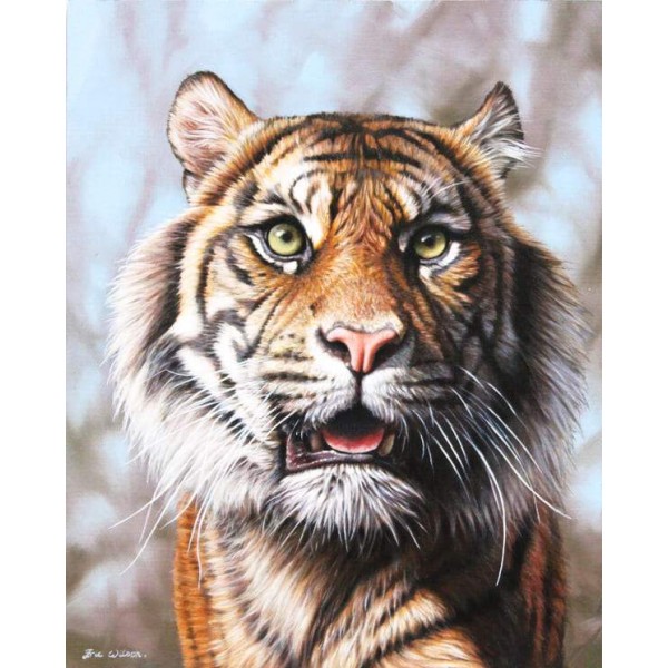 Sumatran Tiger II - Art by Eric Wilson